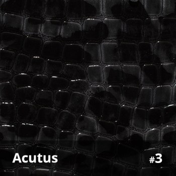 Acutus 3